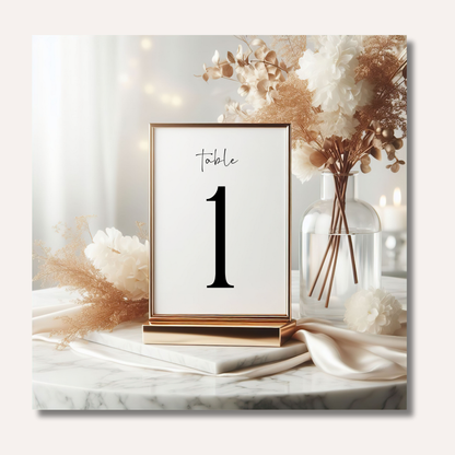 Table Numbers- Minimalistic Style #5
