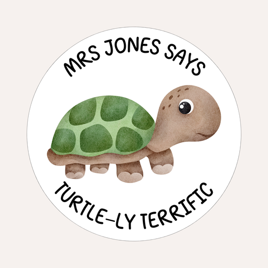 Turtle-ly Terrific