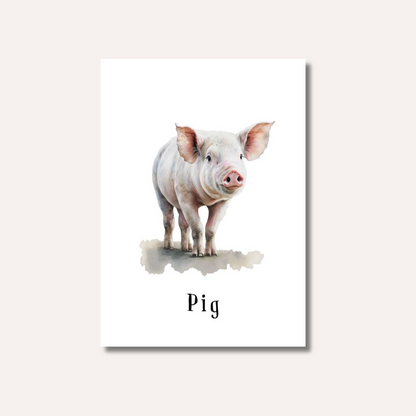 Flash Cards: Farm Animals x12