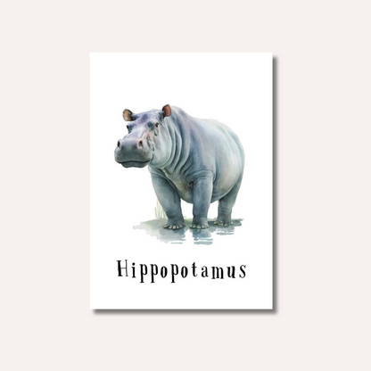 Flash Cards: Wild Animals x17