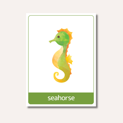 Flash Cards: Sea Animals x18
